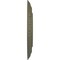 Ekena Millwork Artis Ceiling Medallion (Fits Canopies up to 6 7/8"), 15 3/4"OD x 1 3/8"P, Painted Turtle CM15ARPTF - alternate 2